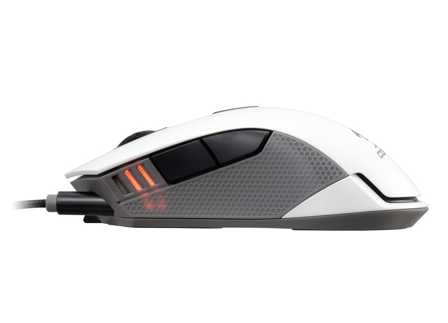 cougar 500m lighting2.jpg