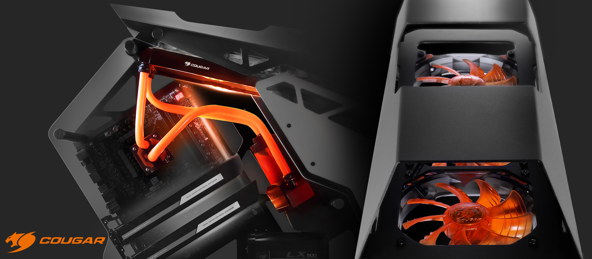 cougar conquer header.jpg