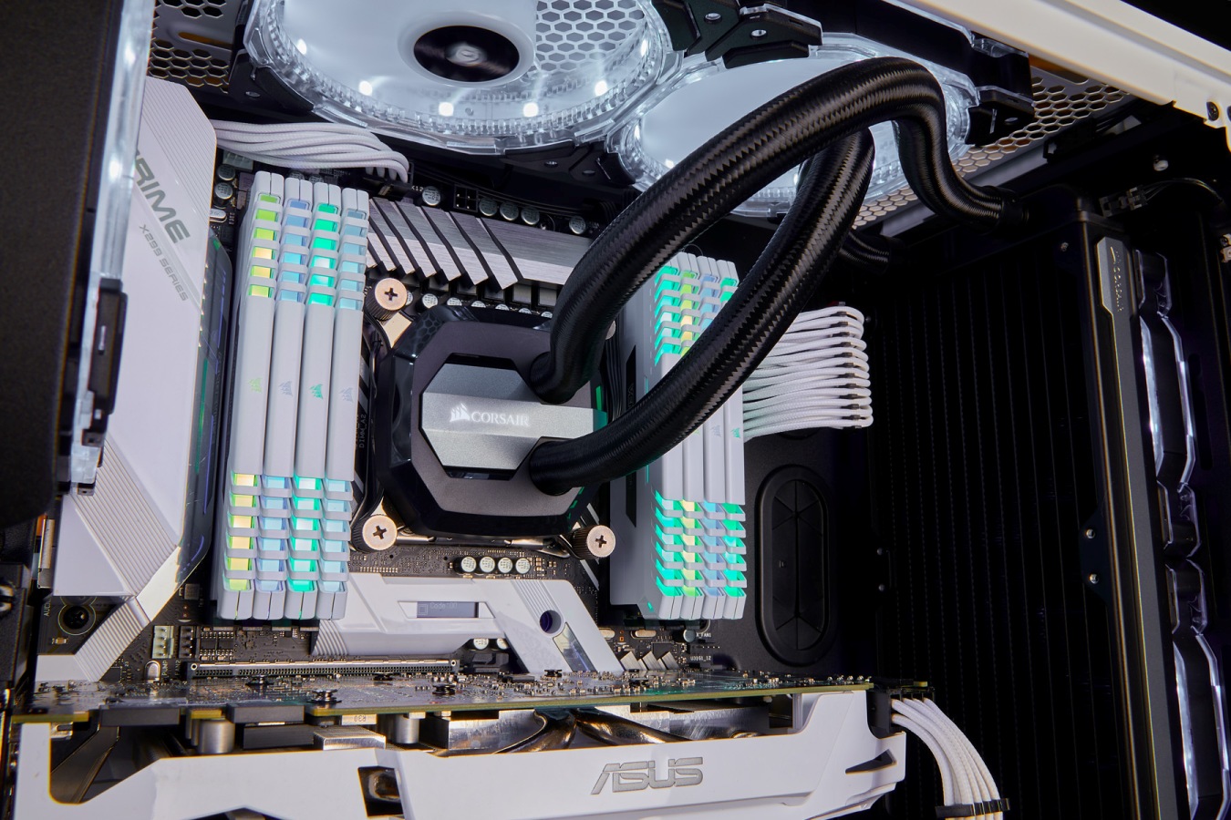 vengeancergb_white_build.jpg