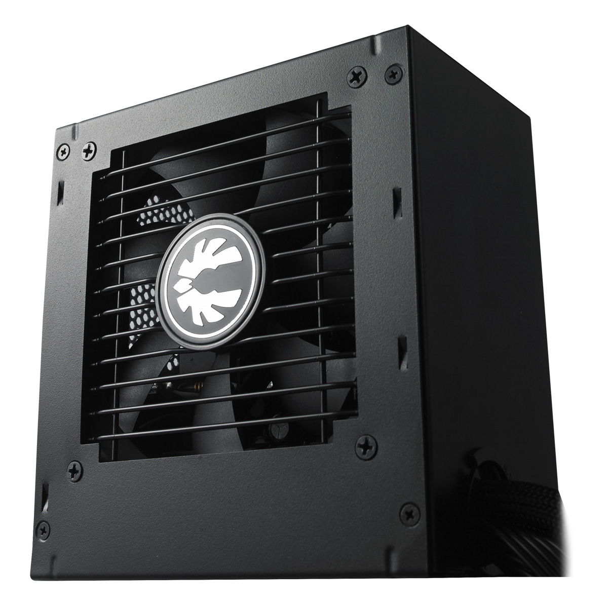 bitfenix_formula_gold_psu_2.jpg