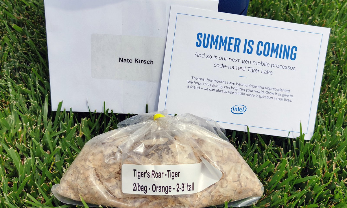 intel-tiger-lake-teaser-legit-reviews.jpg