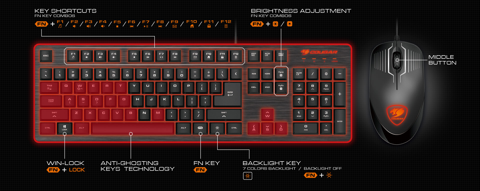 product-section-01.jpg