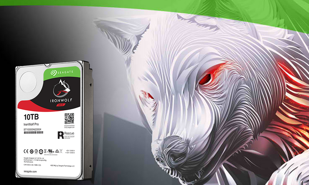 seagate ironwolf pro.jpg